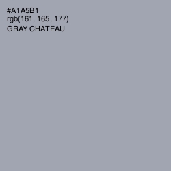 #A1A5B1 - Gray Chateau Color Image